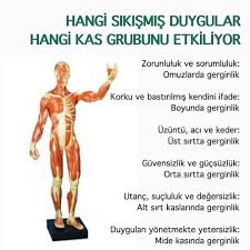 Saglikli Bilgiler On Instagram Saglikli Bilgileer Saglikli Bir Yasam Icin Saglikli Bilgileer Sayfamizi Tak 2020 Parapsikoloji Meditasyon Yoga Meditasyon