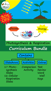Photosynthesis And Cellular Respiration Bundle Photosynthesis And Cellular Respiration Photosynthesis Cellular Respiration