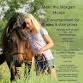 Meet the Morgan Horse