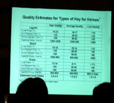 Hay Quality Chart At The Free Horse Health Seminar At