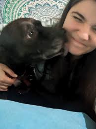 Who is most likely to get upset? រគារហា្សាេូវវិ FOX FOXCFB CB MOST LIKELY  RANKED RANKEDUPSET? UPSET? WEEK കംയം #22 MN APT ၉ြည #21 @L