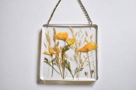 We Ve Moved Find Us At Affinityfloralarts Com Pressed Flower Art Pressed Flowers Hanging Flower Wall
