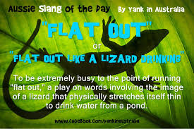 Yank In Australia Aussie Words Australia