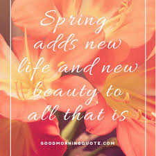 New Beginning Spring Quotes Spring Quotes New Beginning Quotes Job Quotes