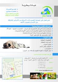 Affordable we are passionate about making high quality veterinary care accessible to everyone in union city and san jose. Pet Vet Clinic Home Facebook