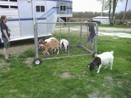 Portable Goat Pen Goat Tractor Dairy Goat Info Forum Goat Pen Goat Farming Goats
