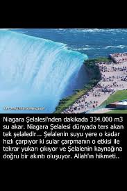 Kuki Adli Kullanicinin Bunlari Biliyor Muydunuz Panosundaki Pin Bilgi Bilgi Islem Bilgi Alintilari