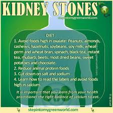 Kidney Stones Kidney Stones Animal Protein Health And Nutrition