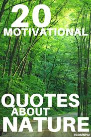Education Environment Quotes To Help Save The Planet And The Inspirational Natural Environment Quote Nature Quotes Environment Quotes Green Nature Quotes
