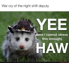 From Our Gal Honeybaderwo Zf War Cry Of The Night Shift Deputy Yee And I Cannot Stress This Enough Haw America S Best Pics And Videos