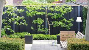 de schutting is zwart gamma dekkende tuinbeits kleur antraciet oh ja de bank is van sittingimage schutting tuin tuin huis en tuin