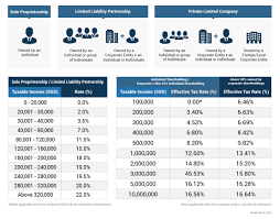 Incorporation Options Comparison Chart For Singapore