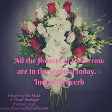 7 Inspirational Flower Quotes Flowers Of The Field Las Vegas Flower Quotes Flower Quotes Life Flower Quotes Inspirational