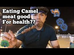 Camel is a good source of meat and camel meat is becoming famous due to the number of high nutrients it contains. Mukbang Camel Meat Healthy To Eat Salalah Oman Youtube