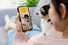 Phone number 07 5482 9407 opening hours. The Best Veterinary Telemedicine Services For Your Pet 2021 Wired