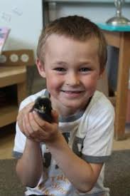 Nobel kids study fluffy friends from egg to chick in classroom