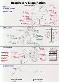 Respiratory Examination Wikipedia