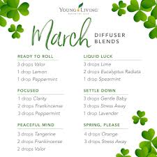 Pin On Essential Oil Diffuser Blends