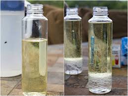 Lavalampe Anleitung Mit Ol Und Wasser Befullen Experimente Kinder Lavalampe Experiment