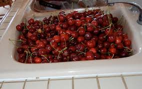 cherries the perpetual feast
