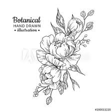 Vintage Flower Bouquet Vector Drawing Peony Rose Leaves And Peony Drawing Flower Bouquet Drawing Flower Line Drawings