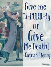 Give me liberty, or give me death is the informal title of a speech in a church it uses symbols of faith and independence to persuade the. Patrick Henry S Give Me Liberty Or Give Me Death Speech Worksheets Teaching Resources Tpt