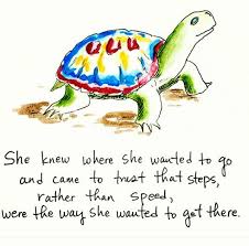 Slow And Steady Wins The Race Turtle Quotes Turtle Inspirational Quotes