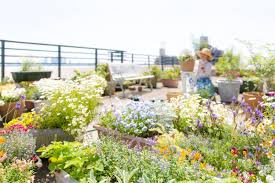 Guna menghadirkan kesan yang lebih natural, pilih batuan berporos yang bisa diaplikasikan untuk. Yuk Bikin Taman Kecil Di Rumah Lebih Keren Kalau Di Rooftop Okezone Lifestyle