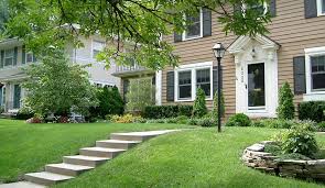 The only thing you can do is replace dead grass by dethatching it and planting new seeds. How To Revive Dead Grass Repair Your Dormant Lawn Today