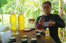 Bunga matahari atau disebut juga dengan nama latin helianthus annuus l adalah tumbuhan asli dari amerika utara, daerah di sekitar mexico, cile dan peru, yang berasal dari familia compositeae. Kiat Setiawan Olah Biji Matahari Jadi Minyak Dan Susu Obat Depresi