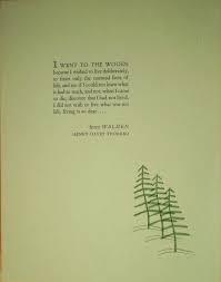 I Went To The Woods Walden By Henry David Thoreau Letterpressed Broadside In 2020 Nature Quotes Thought Provoking Quotes Life Facts
