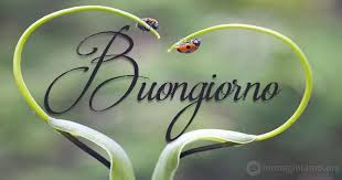 Sii forte, non arrenderti mai. Immagini E Frasi Buongiorno Immaginiamo Org