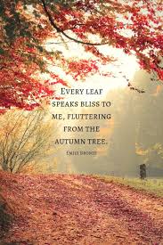 50 Autumn Quotes Fall Quotes And Captions To Enchant And Deepen The Soul Updated For 2020 Autumn Quotes Season Quotes Fall Pictures