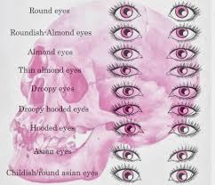 مدونة حنين للجمال aroundfog رسمة الوينقد اي لاينر winged eyeliner للجفن المبط eyeliner shapes eye shapes winged eyeliner hooded eyes