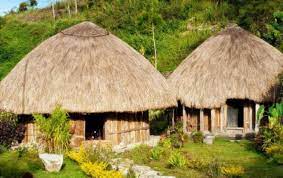 Check spelling or type a new query. Rumah Adat Papua Disertai Gambar Dan Penjelasannya Secara Lengkap