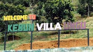 Alas hills, kutacane kabupaten aceh tenggara, aceh : Wisata Aceh Tenggara Visitbandaaceh Com