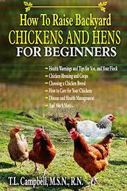 How to save money on your chicken feed. How To Easily Raise Backyard Chickens And Hens For Beginners An Extensive Guide To Raising Chickens And Hens For Fresh Eggs Ebook Campbell M S N R N T L Amazon In Kindle Store