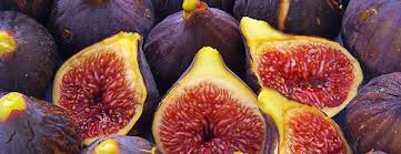 Résultat de recherche d'images pour "figos de Sao Joao"