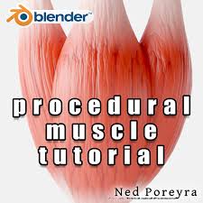 Textures show us an object's appearance independently of its shape. Artstation Procedural Muscle Tutorial In Blender Ned Poreyra