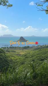 Image result for Kuloa