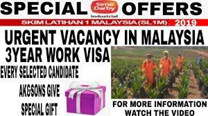 The mill in liberia was completed in may 2017 and the company began preparations for audit to. Job In Malaysia Malaysia Work Visa Vacancy In Sime Darby Ecr And Ecnr All Passport Can Apply Youtube