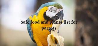 Check spelling or type a new query. Safe Food And Plants List For Parrots Exoticdirect