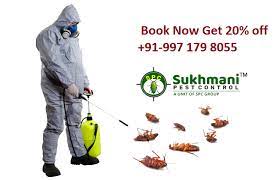 Cockroaches pest control south delhi offers cheap, best, effective & safe cockroaches pest control in south delhi, cockroaches pest cockroaches control south delhi. Pest Control Delhi Delhi Pest Twitter