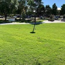 Amateur gorgeous mature (400,072 results). Knox Park S Beautiful New Grassed Areas And My Kids Coastal Turf