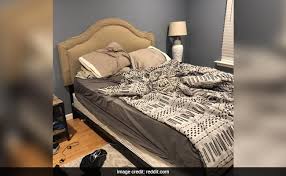 Best tv for bedroom reddit. How Quickly Can You Find The Dog In This Pic It Took The Owner 10 Minutes