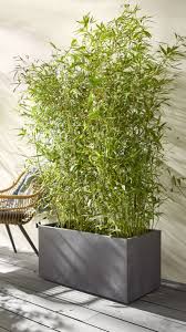 Epingle Sur Jardin Amenagement Exterieur
