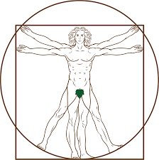 Vitruvian Man Clipart Free Download Transparent Png Creazilla Vitruvian man renaissance portrait of a man in red chalk painting drawing, painting, hand, poster png. vitruvian man clipart free download