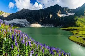 100 Kashmir Images That Will Make You Fall in Love with This Place | Thomas  Cook Blog