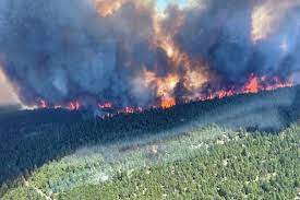 Wildfires are fires that burn out of control in a natural area, like a forest, grassland, or prairie. In 2021 Wildfires In B C Have Burned More Land Than All Of P E I Saanich News