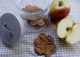 1 la corretta alimentazione del cane. Biscotti Mela E Cocco Per Cani Fatti In Casa Ricette Da Cani